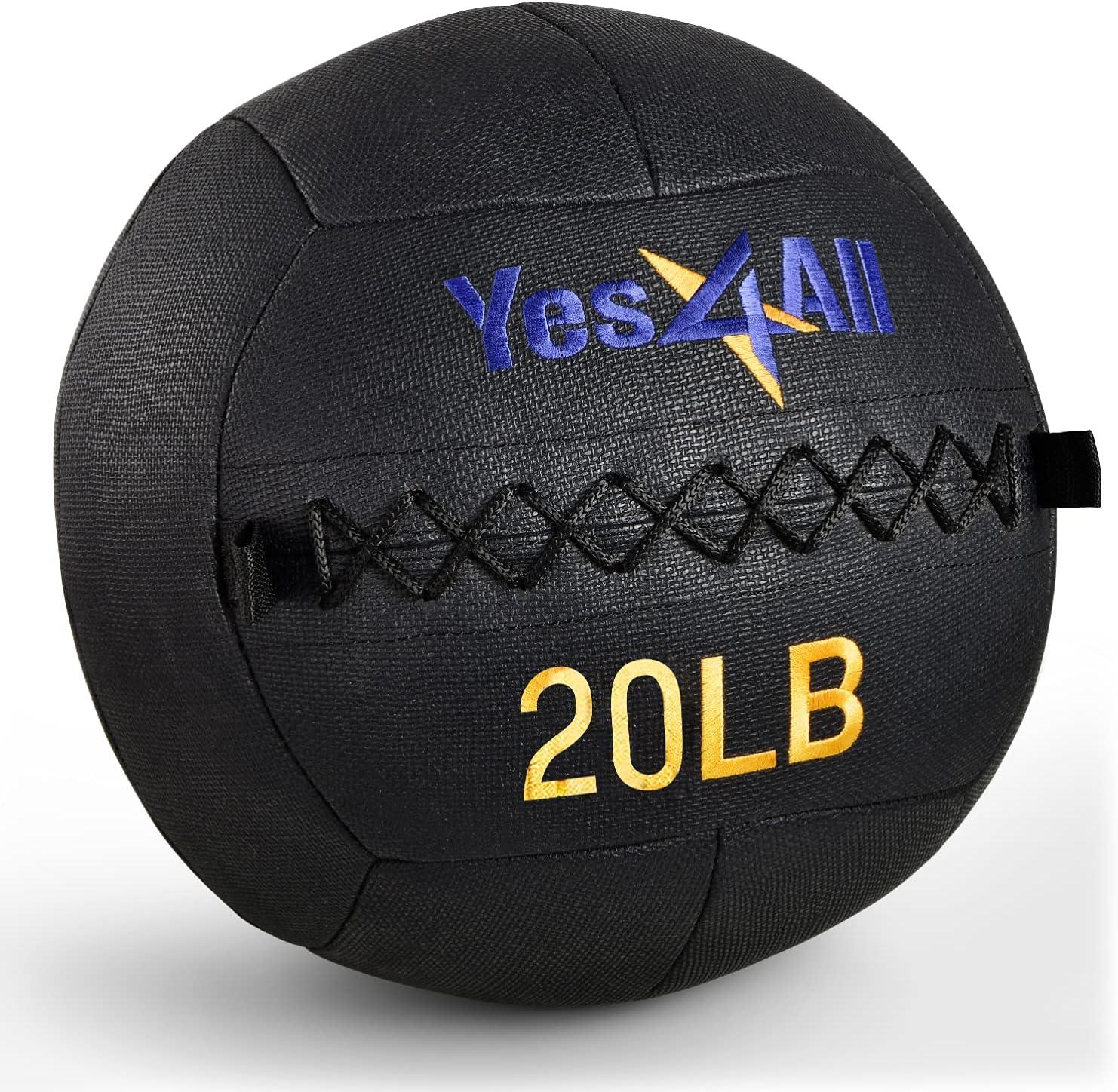 imageYes4All Wall Ball Soft Leather Weighted Iron Sand Ball for Dynamic Multifunctional Exercise 6 LB 30 LBA Black