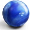 Yes4All Weighted Toning Balls for Exercise, Soft Medicine Balls for Exercise, Pilates, Yoga, Balance, Flexibility, 2-10lbs(F. 2lb – Blue)