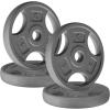 Yes4All Standard 1-Inch Grip Weight Plates, Cast Iron with Multiple Sizes from 2.5 lb to 35 lb for Strength Training, Weightlifting & Muscle Toning(B. 4x5LB)