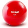 Yes4All Weighted Toning Balls for Exercise, Soft Medicine Balls for Exercise, Pilates, Yoga, Balance, Flexibility, 2-10lbs(J. 6lb – Red)