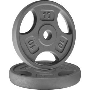 Yes4All Standard 1-Inch Grip Weight Plates, Cast Iron with Multiple Sizes from 2.5 lb to 35 lb for Strength Training, Weightlifting & Muscle Toning(E. 2x10LB)