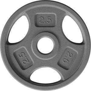 Yes4All Standard 1-Inch Grip Weight Plates, Cast Iron with Multiple Sizes from 2.5 lb to 35 lb for Strength Training, Weightlifting & Muscle Toning(J. 2.5LB)